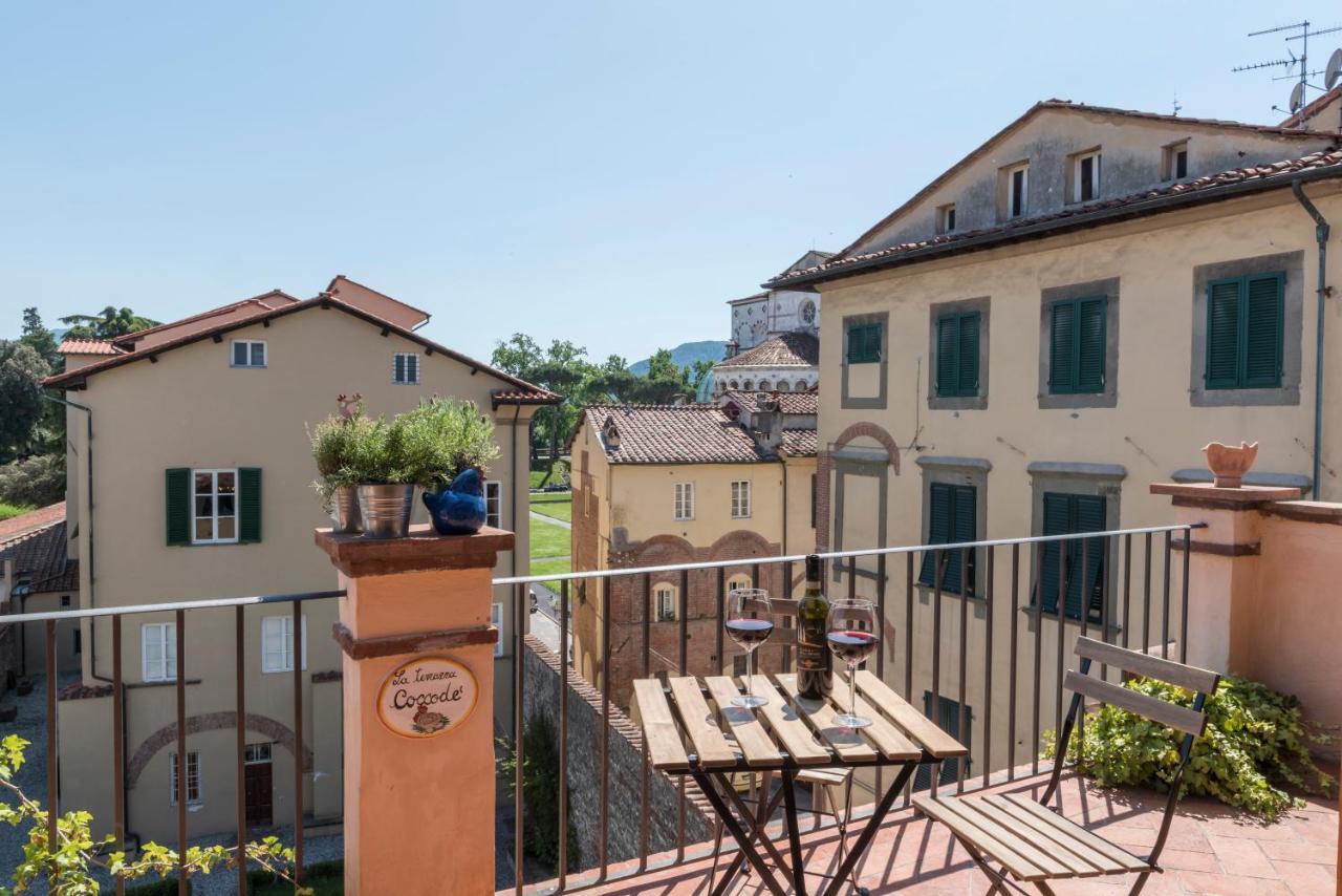 Terrazza Coccode' Spazioso Con Vista Mozzafiato! Lucca Exteriör bild