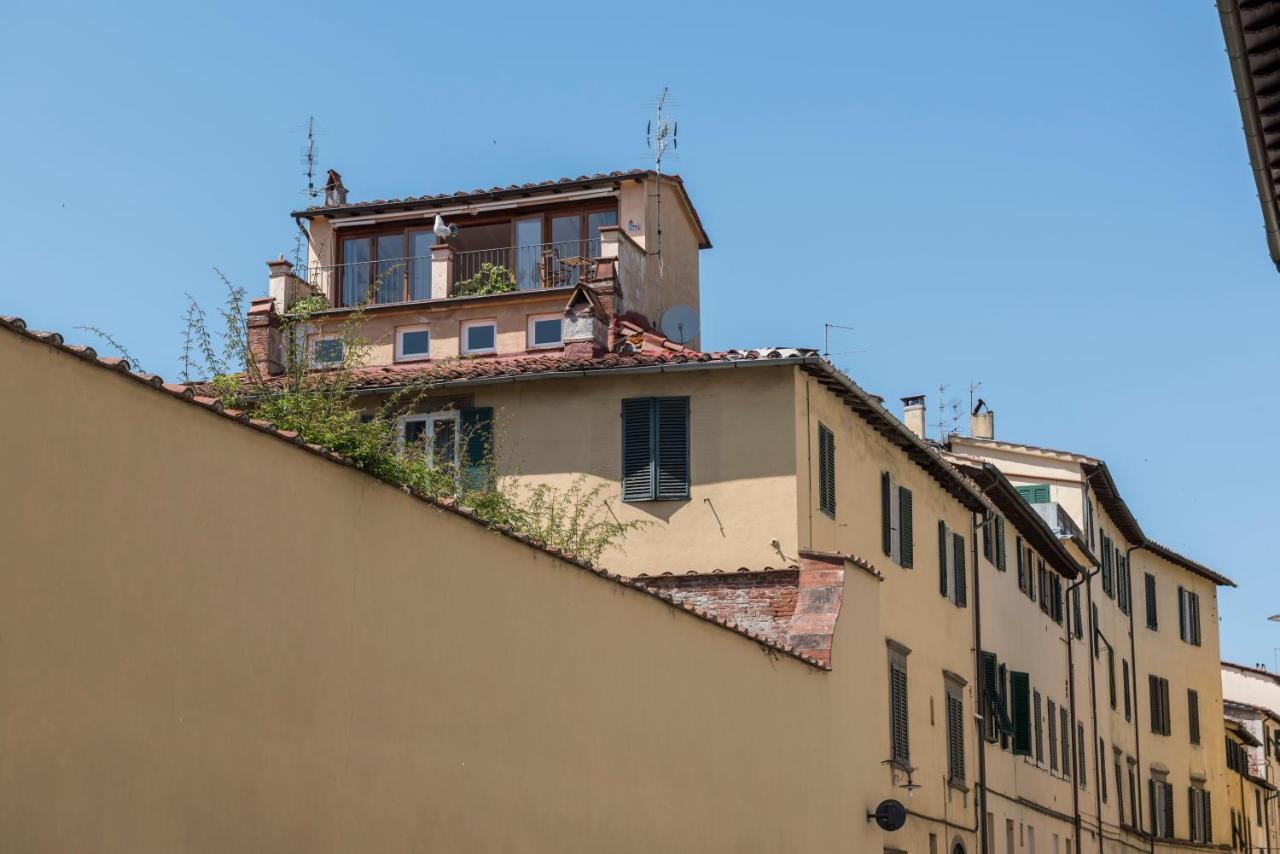 Terrazza Coccode' Spazioso Con Vista Mozzafiato! Lucca Exteriör bild