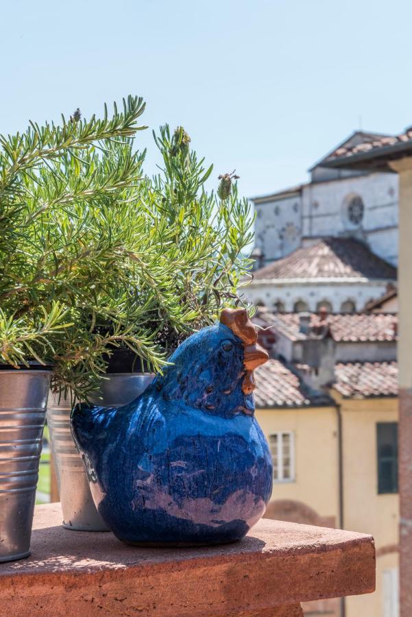 Terrazza Coccode' Spazioso Con Vista Mozzafiato! Lucca Exteriör bild