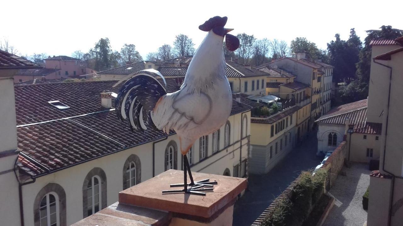Terrazza Coccode' Spazioso Con Vista Mozzafiato! Lucca Exteriör bild